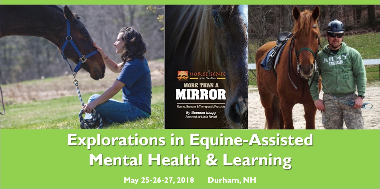 Equine Header